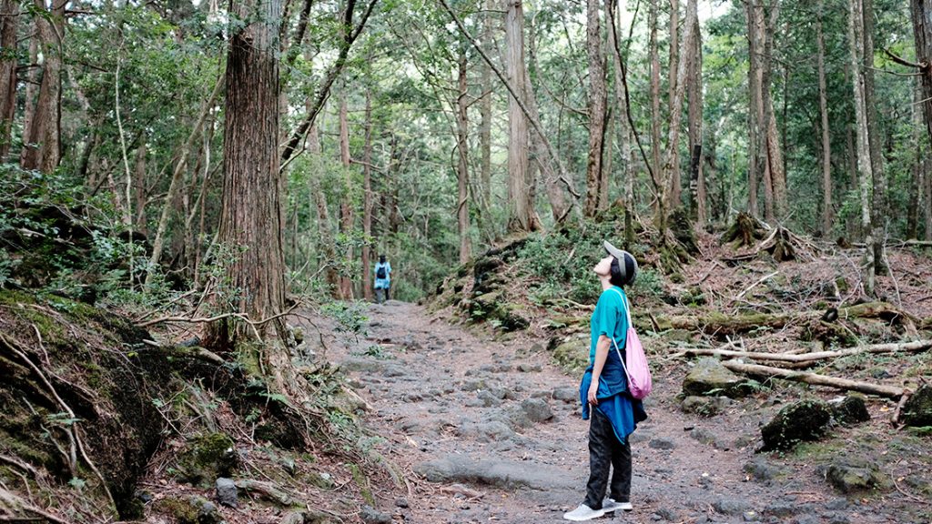 Aokigahara