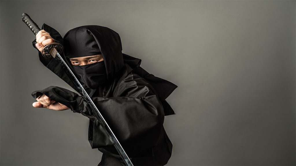 ninja jepang