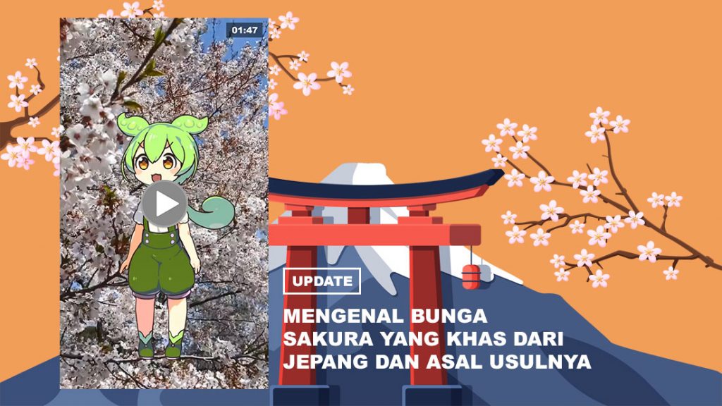bunga sakura